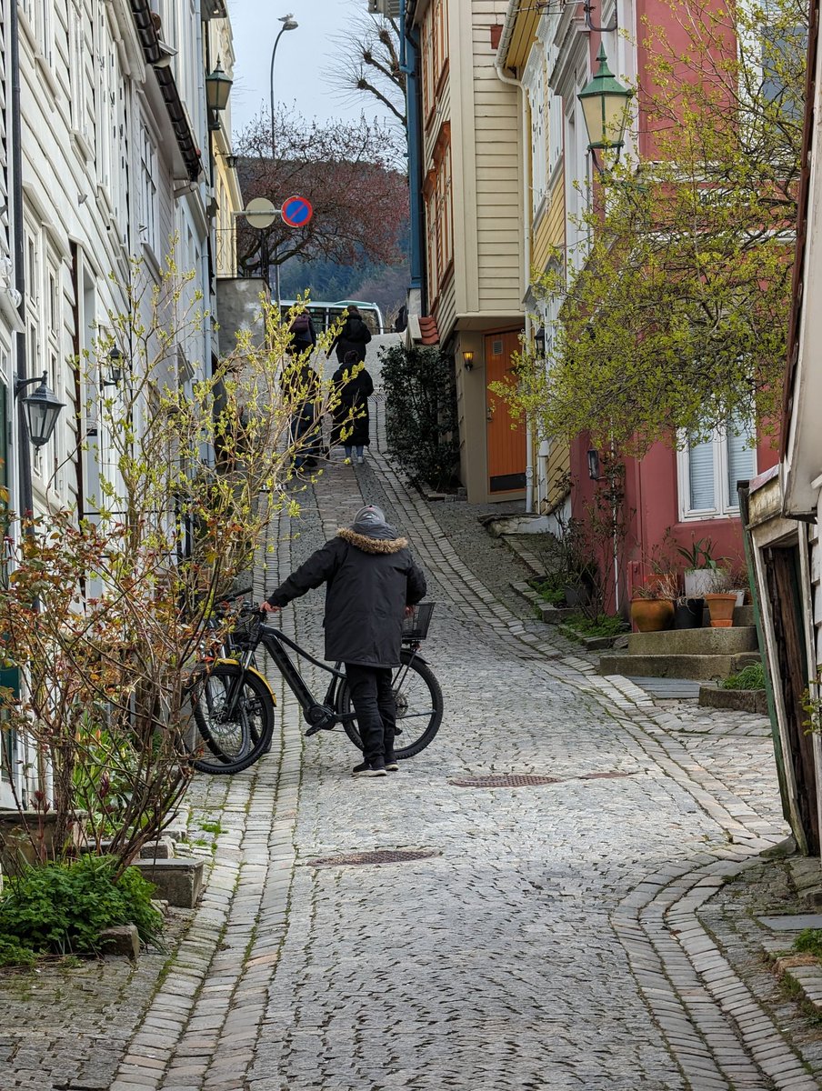 notna100's tweet photo. Ja, doch, Bergen ist ganz hübsch 🇳🇴 https://t.co/cHOakHi1S6