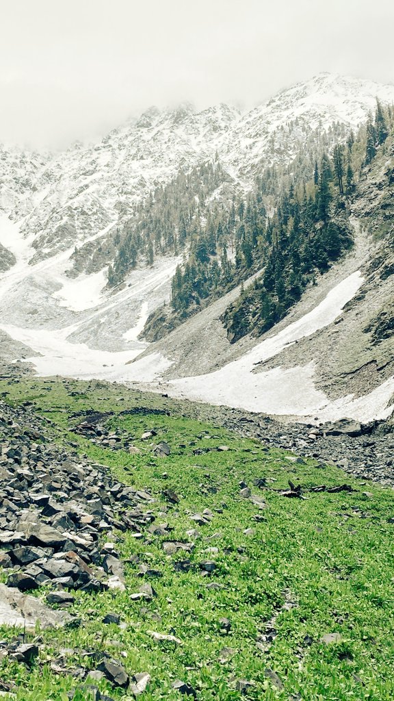 Beautiful view from our camp side Old memory, towards ledai peak 15410 feet ASL. Allai valley Khyber pakhtunkhwa Pakistan 🇵🇰 ❤️ 28 May 2023 جنت نظیر پاکستان خیبر پختونخواہ ضلع بٹگرام