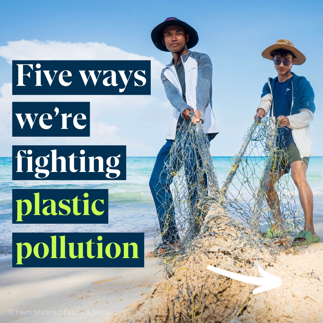 🌎Happy Earth Day! This year’s Earth Day theme is Planet vs. Plastic.

Here’s five things we’re doing to fight plastic pollution.

#EarthDay2024 #SavingNatureTogether