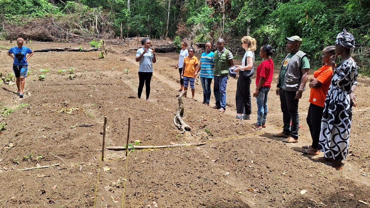 #EarthDay recognizes the need to protect ecosystems & stop biodiversity loss. 🇮🇪 works with the Wild Chimpanzee Foundation in 🇱🇷 to support Women’s Conservation Enterprise in Sapo Forest Nat'l Park, helping unlock the potential of eco-tourism for conservation & for communities.