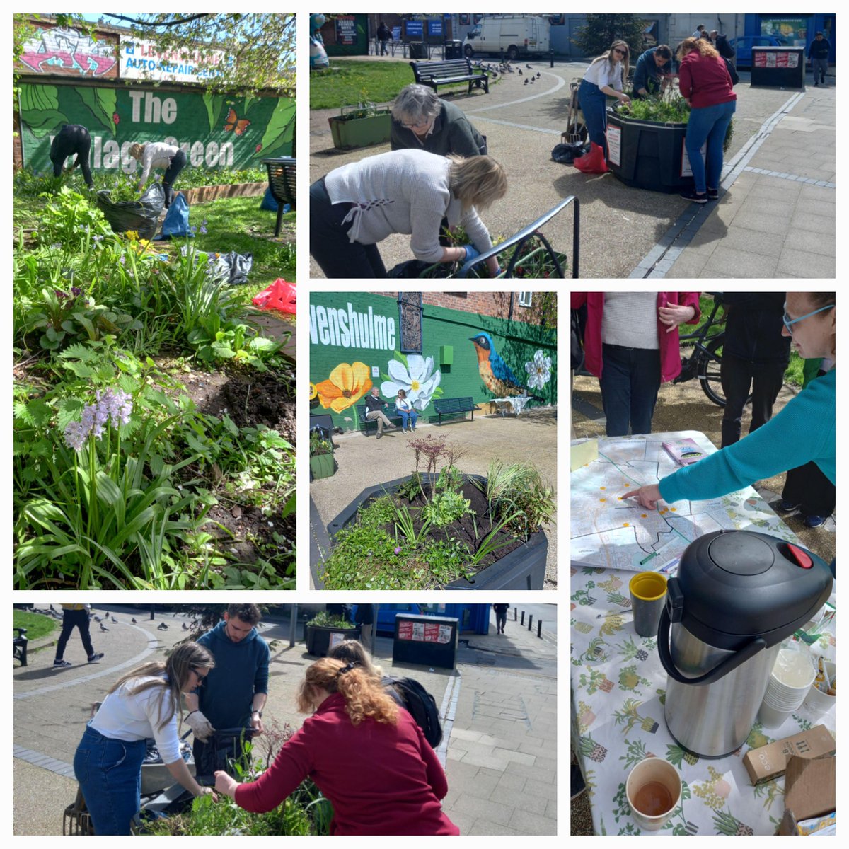 A sunny Sunday afternoon spent improving some of the A6 planters with Levenshulme in Bloom. If you'd like to get involved, please send me a DM and I will add you to the mailing list.