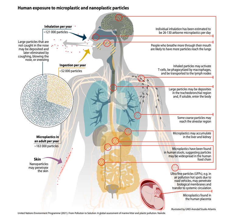Happy Earth Day 2024!
This year's theme is "Planet vs Plastics". Did you know that the average human adult inhales and ingests about 163,000 microplastic particles per year?  
#earthday #plasticpollution #microplastic