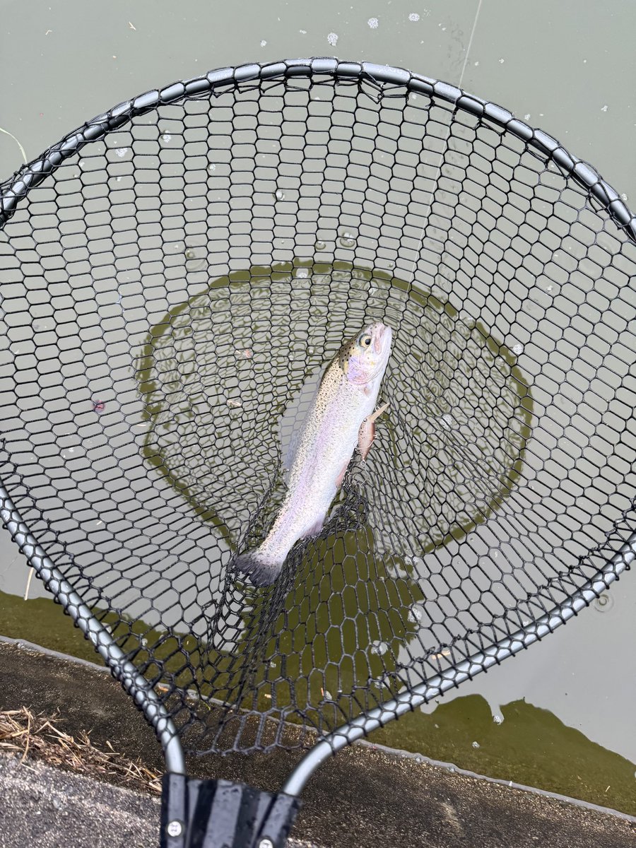 キー@エリア最南端の地九州 tweet media