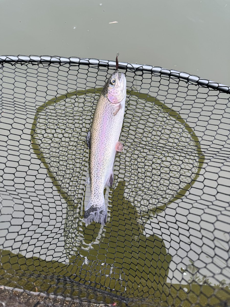 キー@エリア最南端の地九州 tweet media