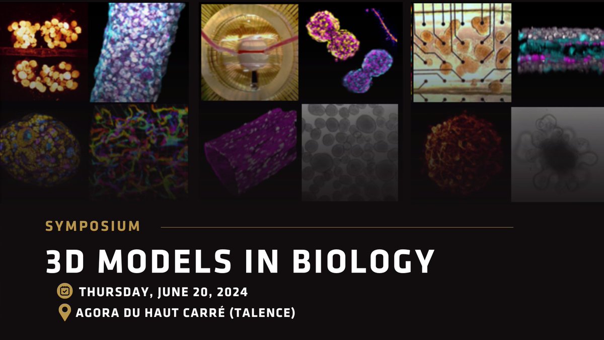 🔬 3D Models in Biology 📅 Date: Jeudi 20 juin 2024 📍 Lieu: Agora du Haut Carré (Talence) 📅 Date limite pour soumettre vos résumés et posters: 3 mai 2024. 📍 Événement en présentiel uniquement. 3dbio.sciencesconf.org