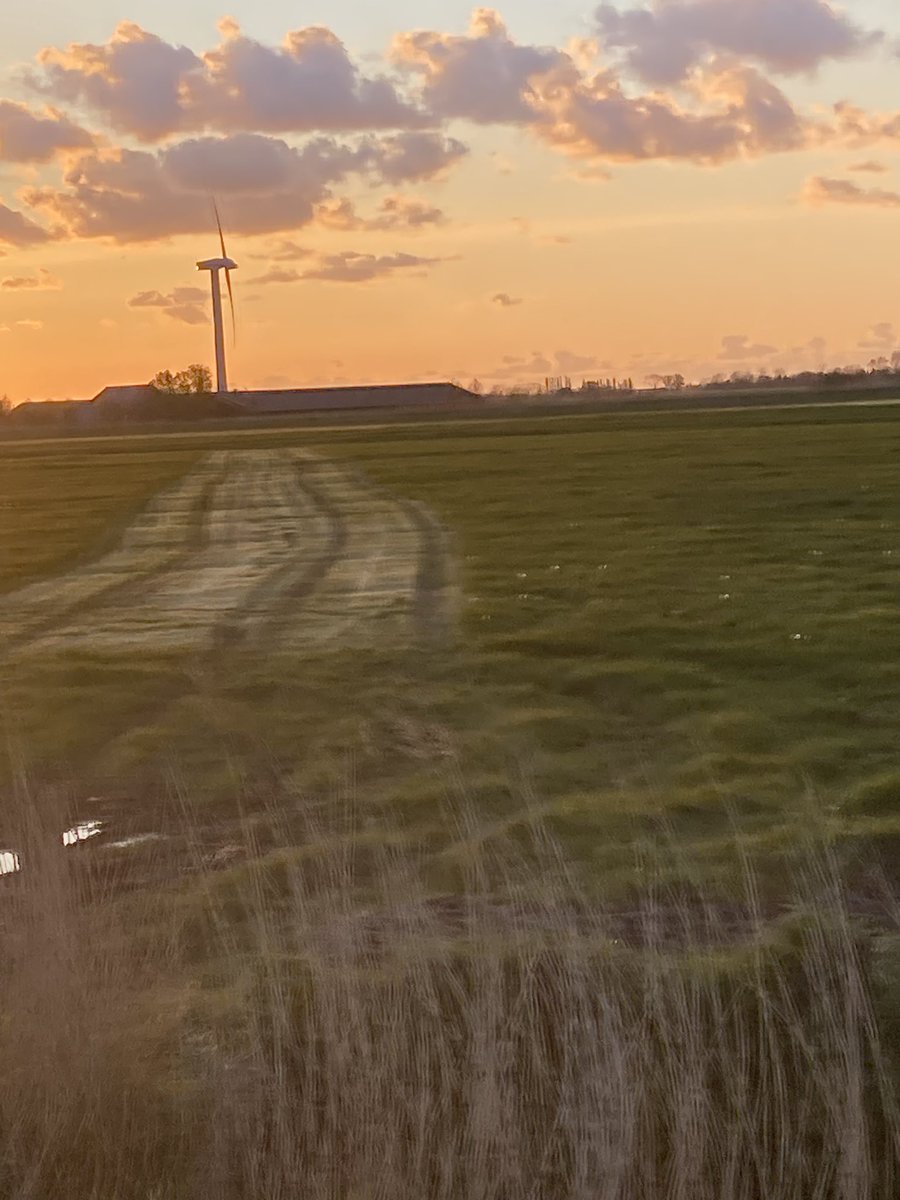 Jetze Genee tweet media