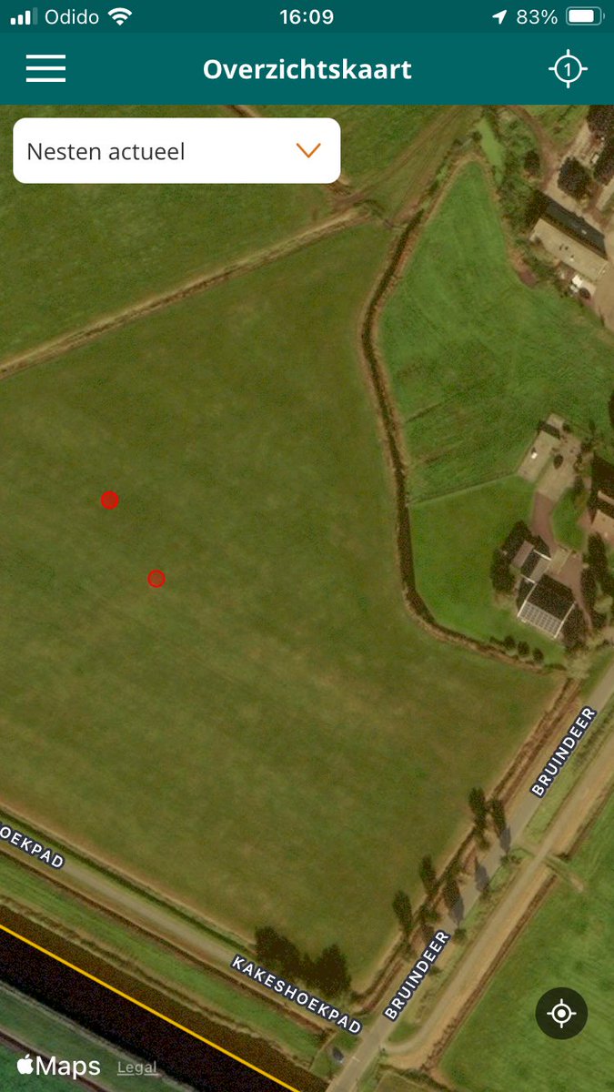 Jetze Genee tweet media