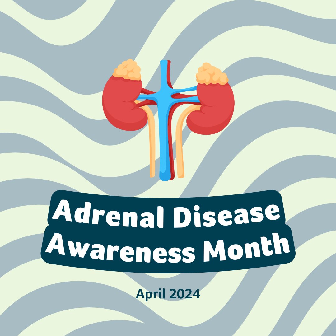 Did you know that April is #AdrenalDiseaseAwarenessMonth? There are many conditions that can lead to problems with the adrenal gland function. The adrenal glands are small and shaped liked triangles and are located just above each kidney. ow.ly/h9Ac50RhVt5