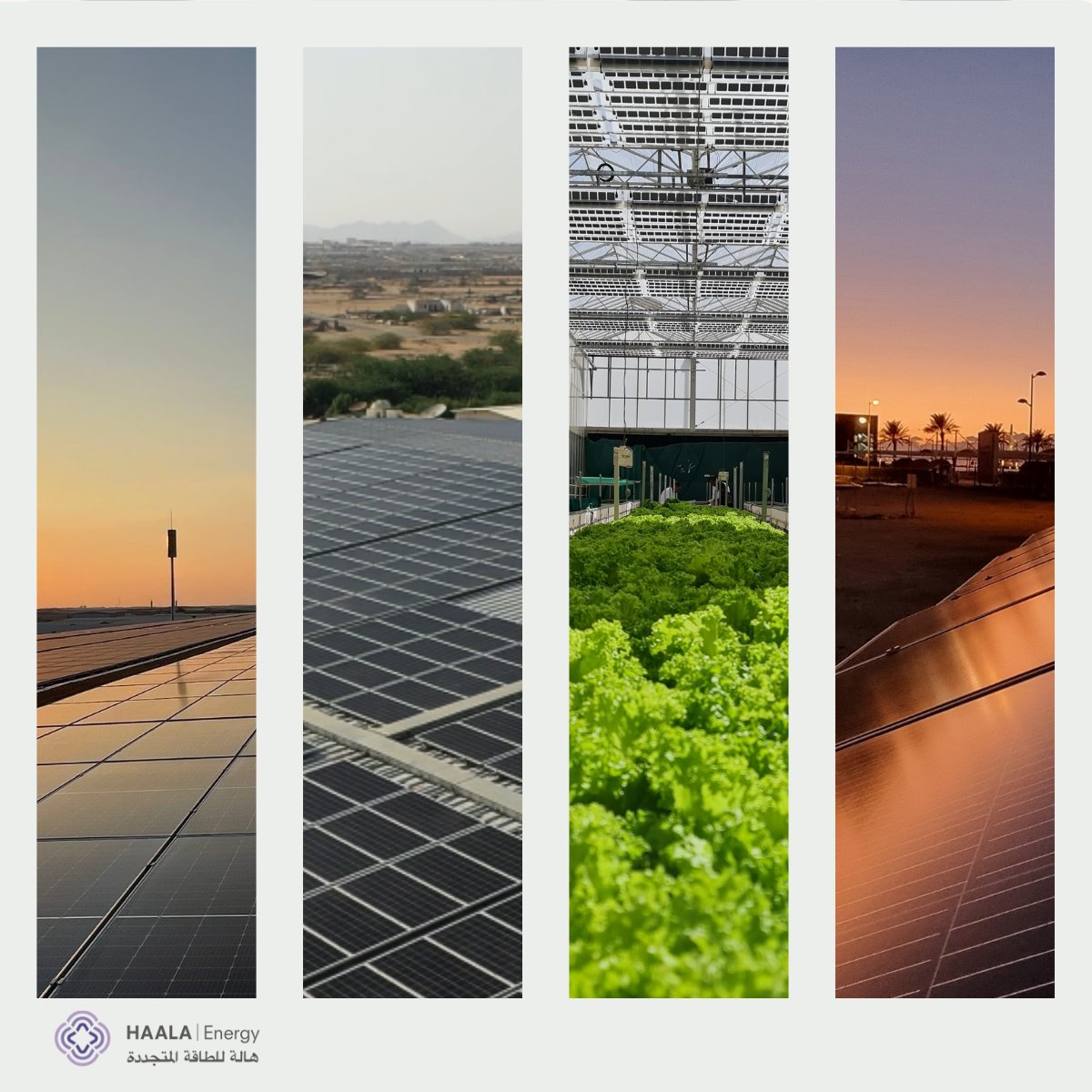 HAALA Energy tweet media