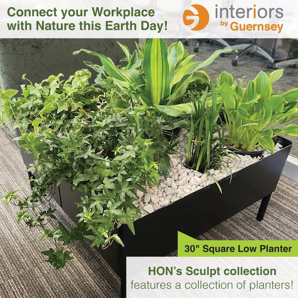 Check out HON's Sculpt collection featuring indoor planters! Contact your Account Manager TODAY to celebrate Earth Day everyday! #EarthDay #OfficePlants #BuyGuernsey #InteriorsbyGuernsey