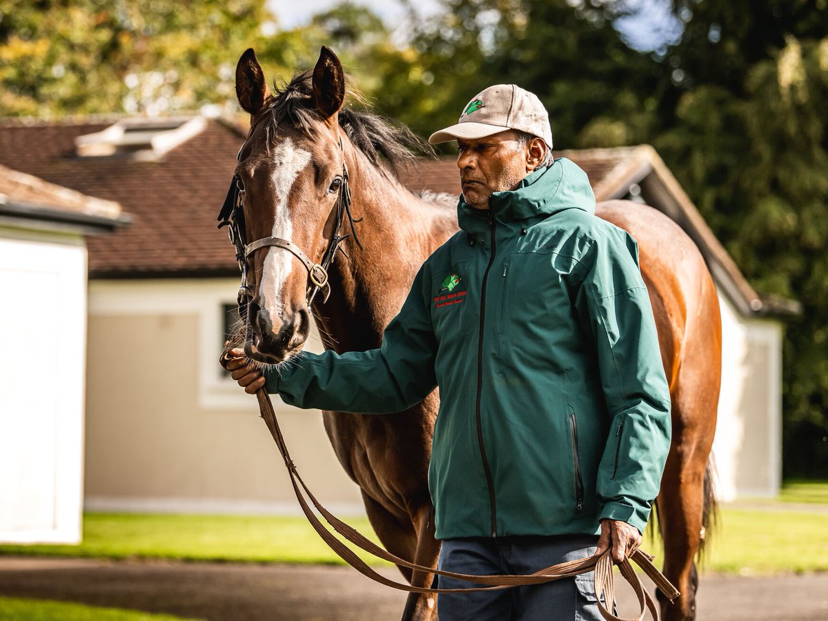 AgaKhanStuds's tweet photo. 🥇#Shastana broke her maiden in good style over the weekend.

The 3yo daughter of Bated Breath is the first foal out of Shafia, who sold earlier this year @Goffs1866 February Sale. 

It's the family of Champion 3YO #Shawanda and dual Gr.1 winner #Shareta. https://t.co/CHhubVdXmt