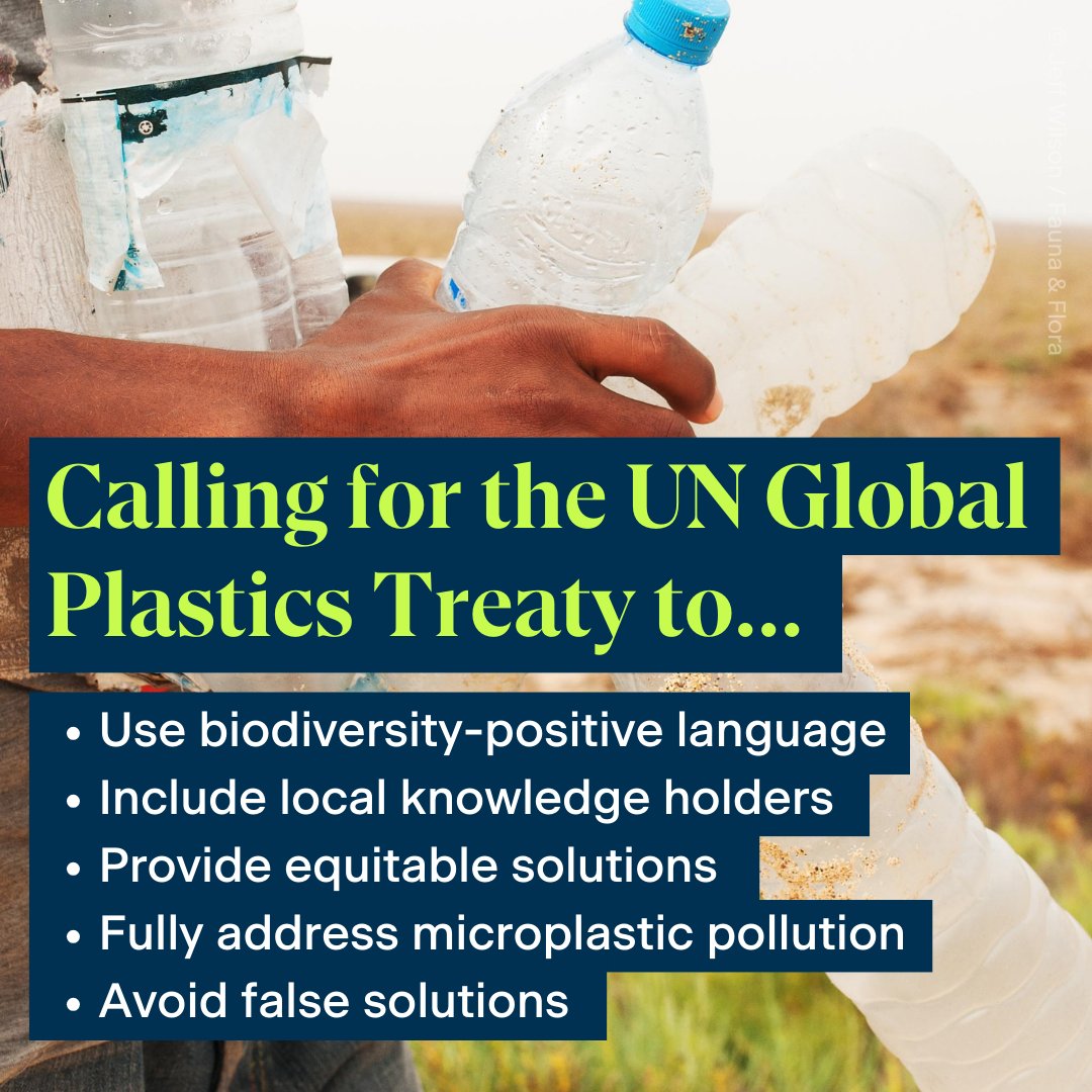 Influencing UN Global Plastics Treaty negotiations. We’re calling for the Treaty to include local knowledge holders, provide equitable solutions, address microplastic pollution and avoid false solutions that do not stem the flow of plastic.