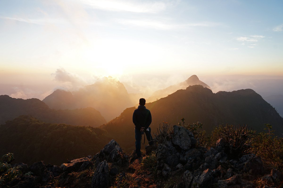 NZERO Organic Formulas tweet media