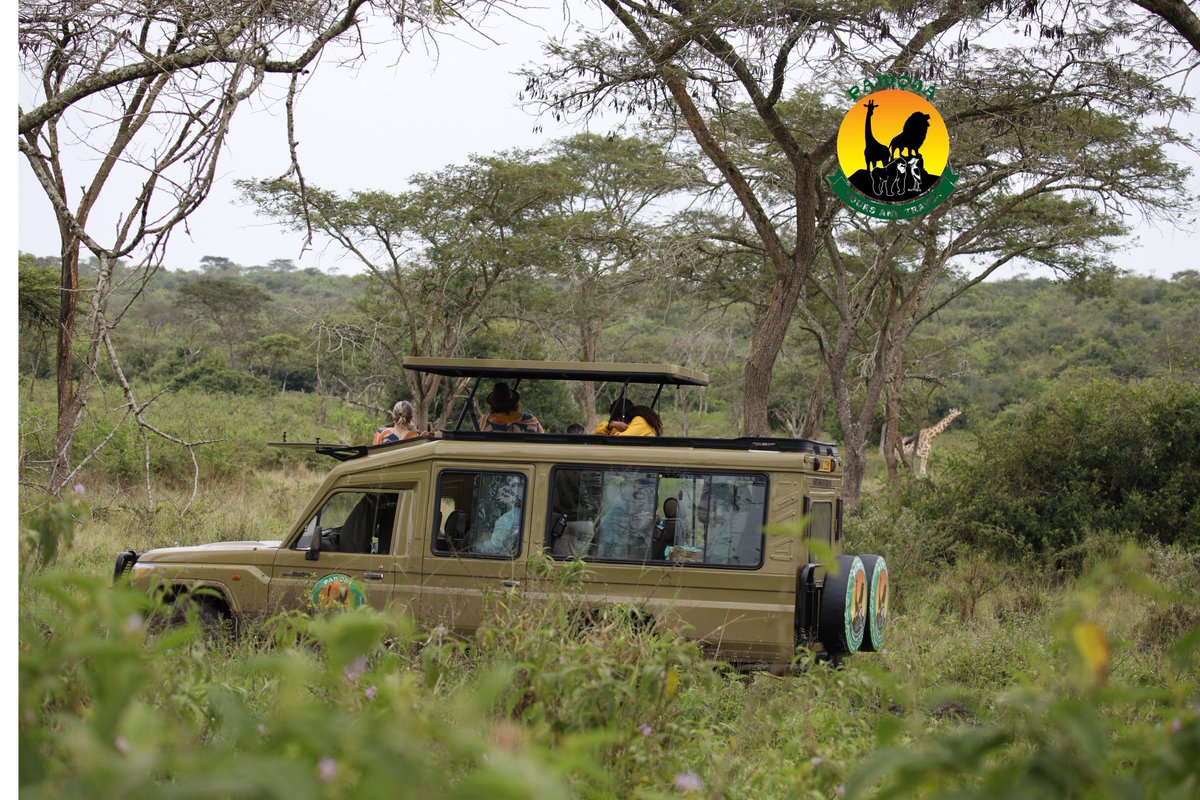 🌿 Discover Lake Mburo NP with Pamoja Tours! 🦓

🚙 Join us for an exhilarating game drive through the savannah plains.
🦒 Spot zebras, impalas, and more!
Book now for an unforgettable adventure! 🐾🌍 #ugandasafari #travel  #LakeMburoNP