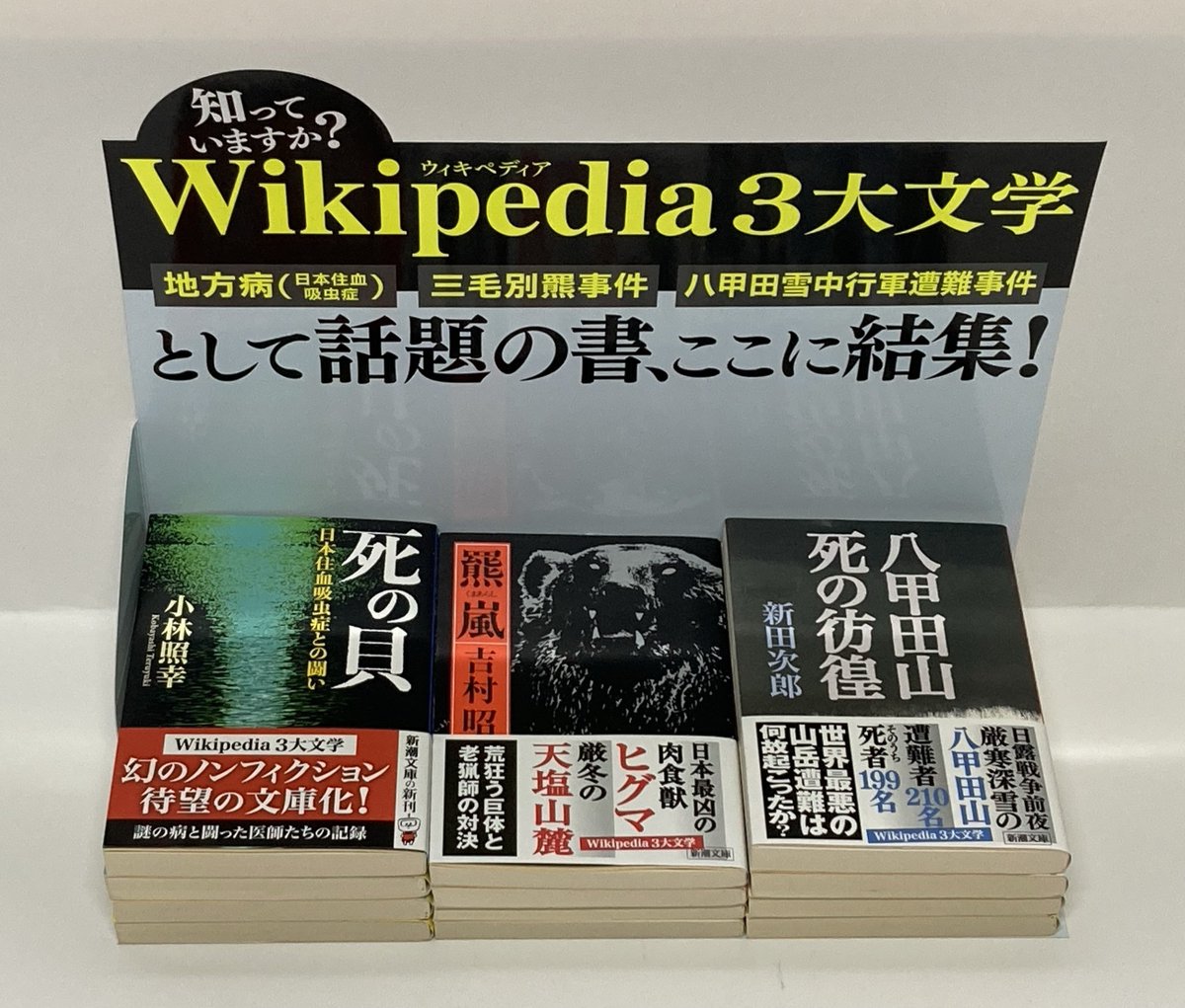 島野智之(動物分類学)Satoshi SHIMANO, Professor, Hosei Univ. (@freeliving_mite) / X 島野智之(動物分類学)Satoshi SHIMANO, Professor, Hosei Univ. (@freeliving_mite) / X