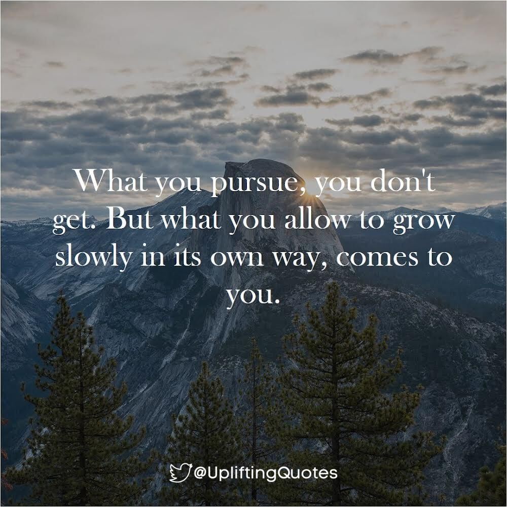 What you pursue, you don't get. But what you allow to grow slowly in its own way, comes to you.