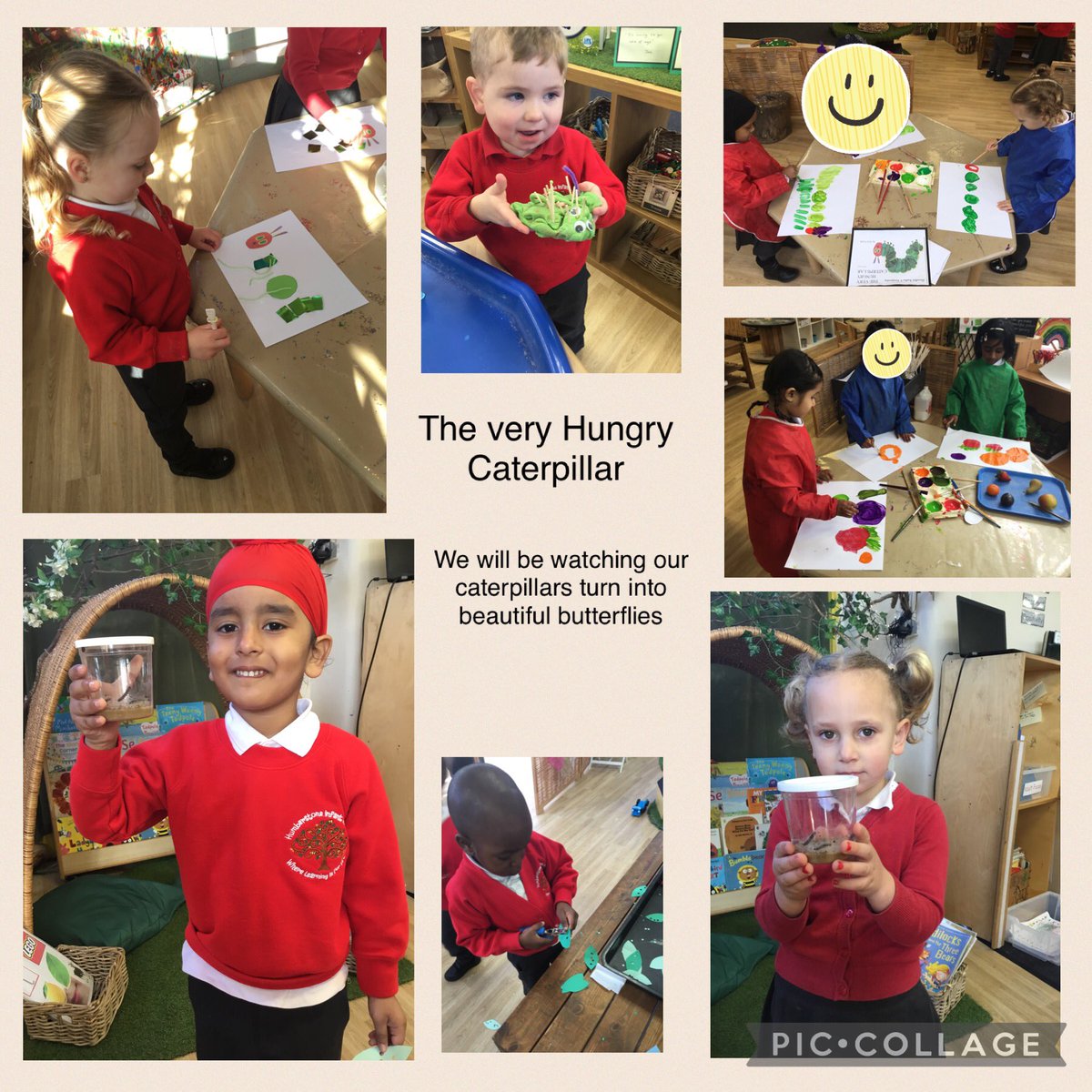 HIANursery tweet media