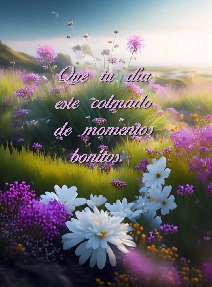 @Edurodriguezg Bendecido inicio de semana #saludoplanetario desde Maracay feliz día de la tierra y agradecida por esa lluvia de bendiciones que tengas un lindo día y saludos al equipo de ATiempo