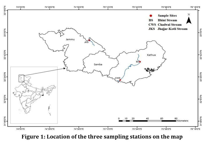 dx.doi.org/10.12944/CWE.1… - Read the Article here The Spatial and Temporal Disparity of Fish Assemblage and its Association with Environmental Factors Through Multivariate Statistical Analysis in Jammu and Kashmir's Himalayan River System. #ANOSIM #Diversityindices