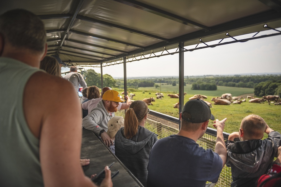 Farmers are encouraged to open their farms for visitors and talk about what they are most proud of, British food and farming 🚜🇬🇧 farmersguide.co.uk/rural/farmers-… @LEAF_Farming #BritishFarming #farming #farmers #rural #events