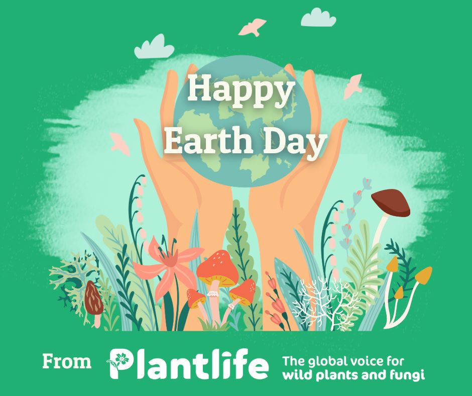 🌎Happy #EarthDay everyone! 🌏 For us everyday is Earth Day. Plants are the basis of all life on earth. Here are some ways you can get outside and celebrate the earth today: bit.ly/3RQ5VJg🌍