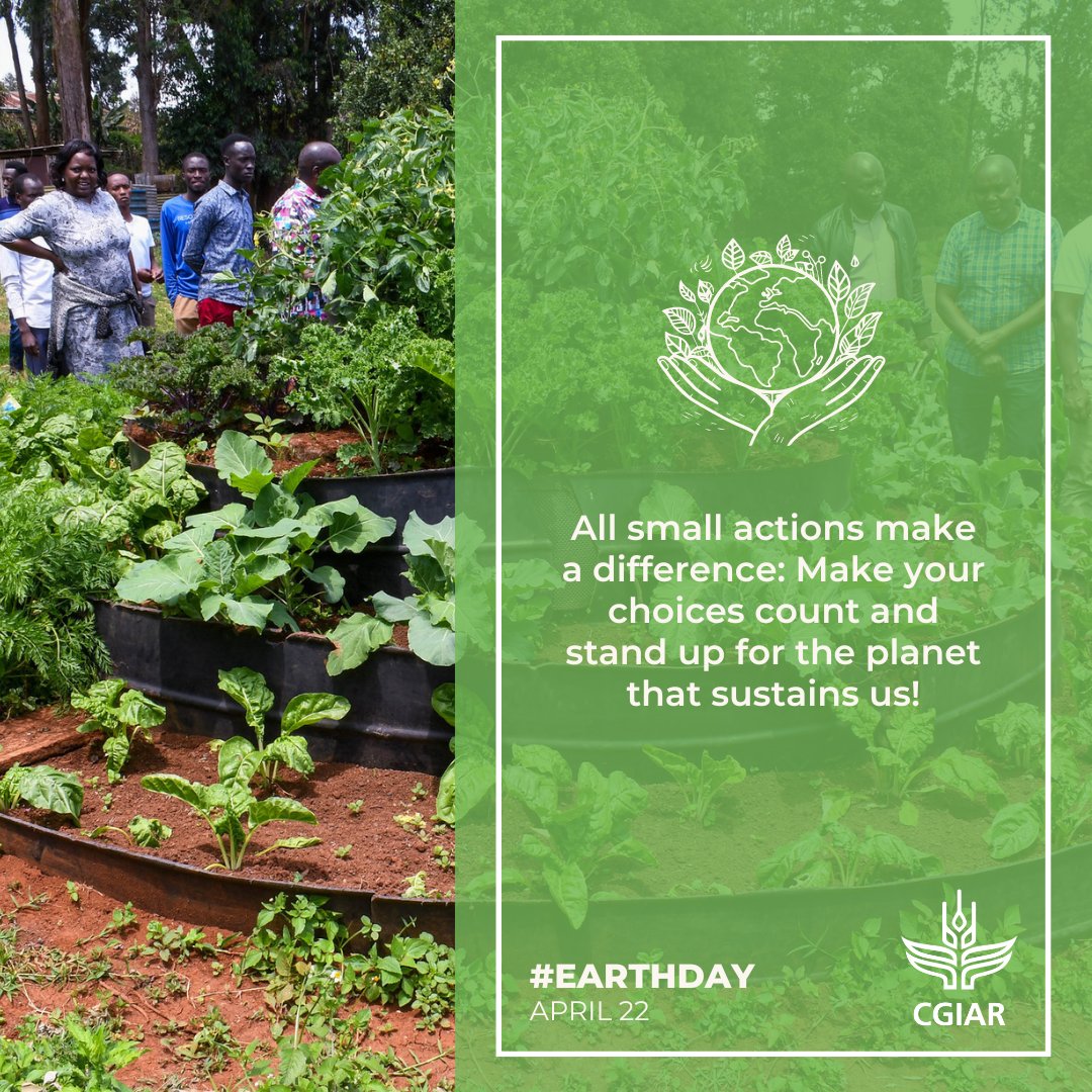 📢 What actions are you taking to contribute to a healthier planet? This #EarthDay, share with and inspire those around you! 🥳 🌎 Together, we can make a difference. on.cgiar.org/3JiFRBs