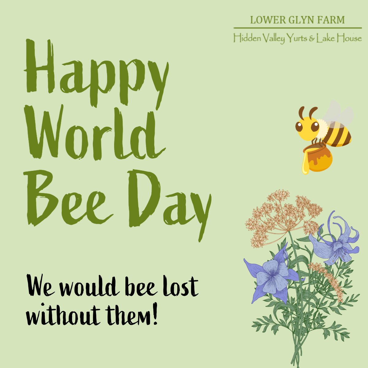 🐝 Happy #WorldBeeDay! 🌼

Our wildflowers are buzzing with life, providing a haven for our precious pollinators.

Planting wildflowers, reducing pesticides, and creating bee-friendly spaces can make a big difference. Let's protect our bees and keep our world blooming!