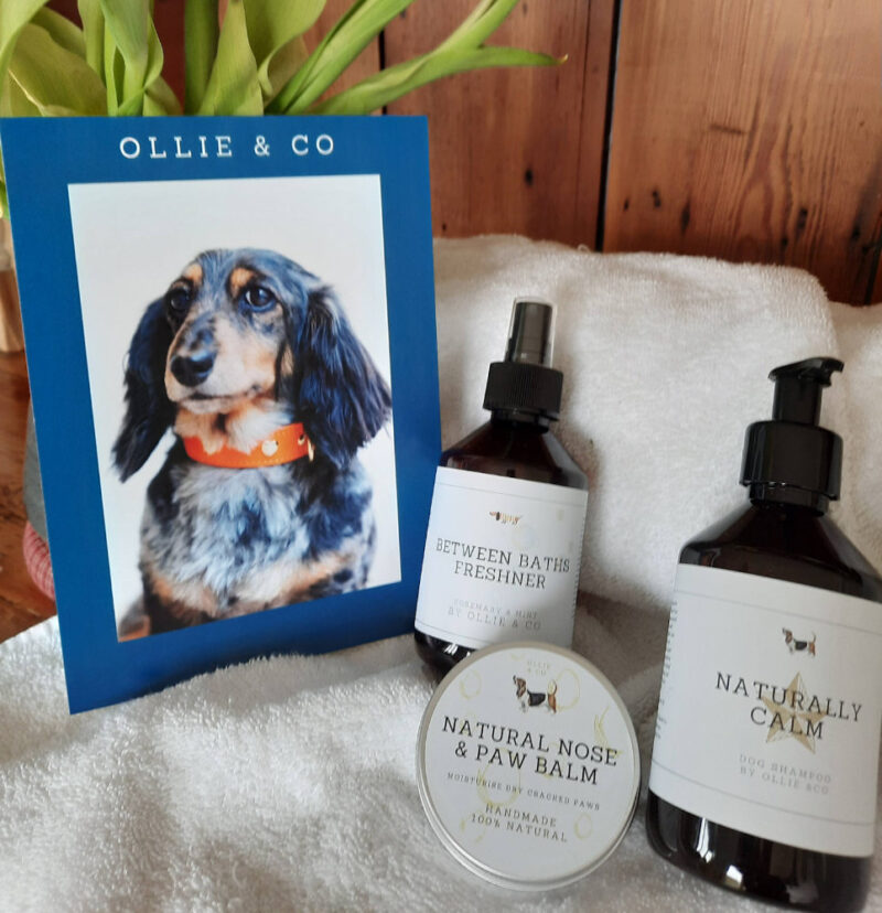 Premium accessories and treats for furry best friends and dog enthusiasts are available! The code GOODDOG10 can be utilized at checkout to receive a 10% discount on any order, regardless of value, with complimentary shipping for orders exceeding £75! bit.ly/3MFuUwl