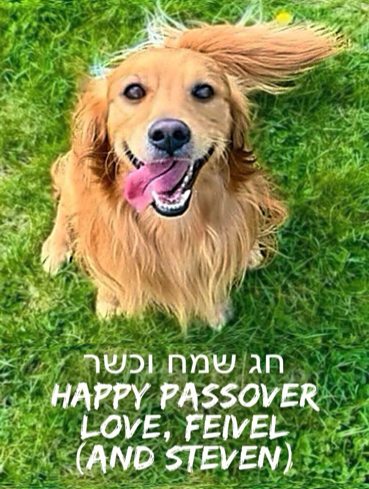 #HappyPassover #ChagSameach #חג_שמח