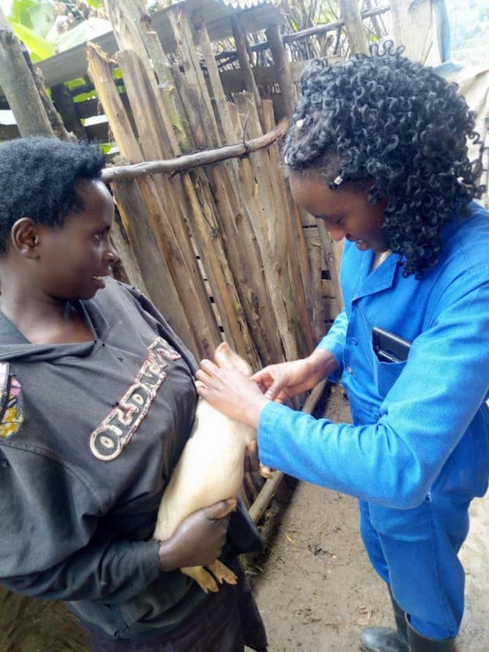 .@VSF_Belgium is empowering women veterinarians and paving the way for greater #gender inclusivity in the veterinary sector in Rwanda. Here is the story of Elisabeth Mukanyitsitso, veterinarian in @Nyamagabe, in the 🇧🇪 gender-themed cooperation newsletter bit.ly/4a1x5mz