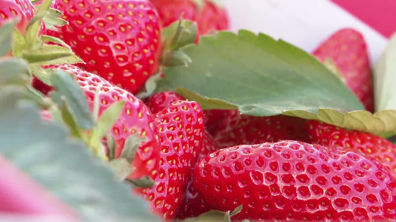 🍓VIDEO. Une édition record pour la fête des fraises à Carros, plus de 23 000 participants et 7,7 tonnes de fraises vendues france3-regions.francetvinfo.fr/provence-alpes…