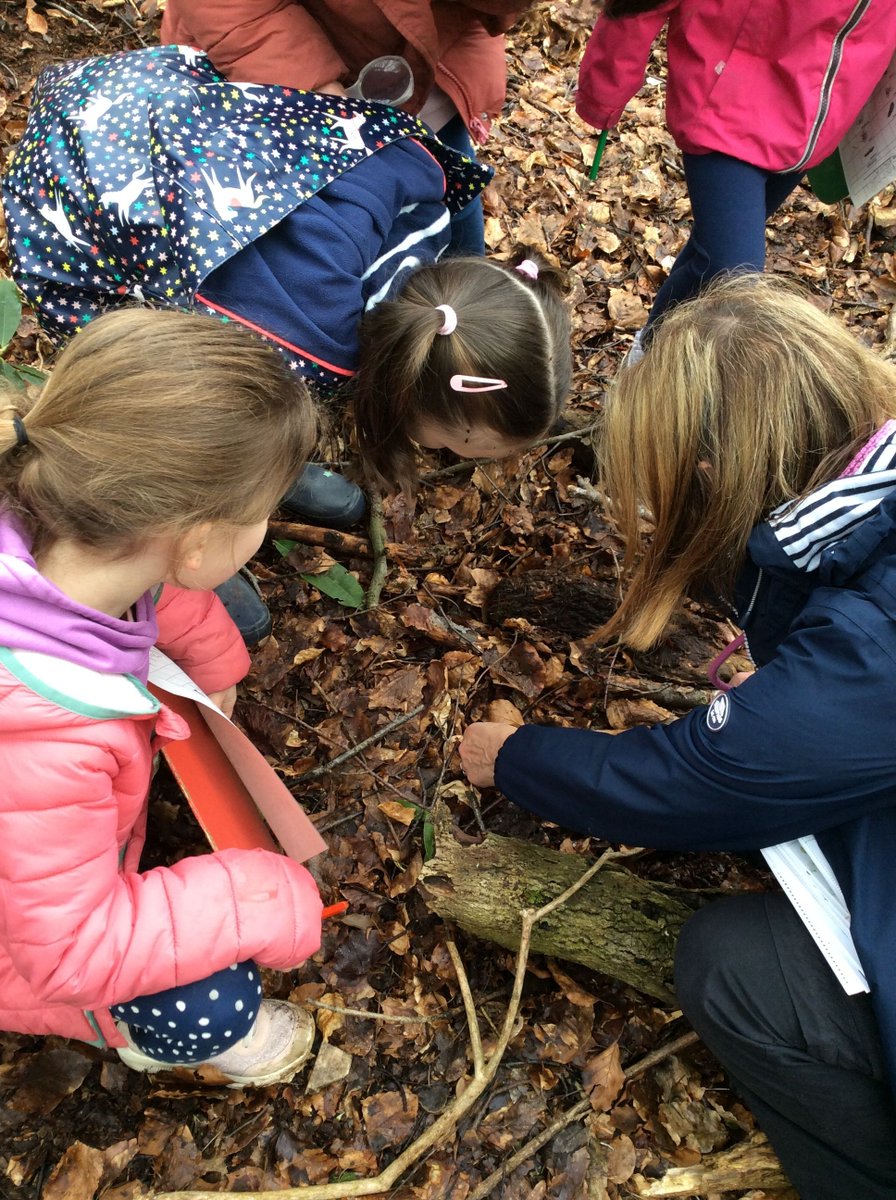 Class Brook had a fantastic time at @cliffehouse last Thursday. We did lots of activities - pond dipping. nature art, minibeast hunt, identified plants and trees as well as spending some time in their fantastic adventure playground before walking back to school.