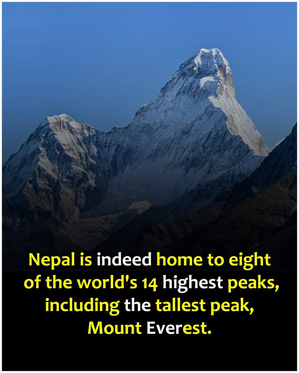 #Sunak #Themet #Punjab #NepalPress
