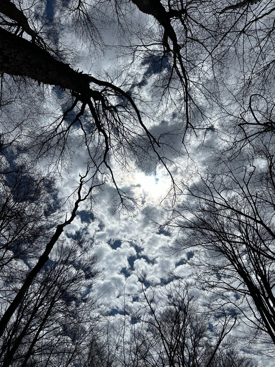 Wow, check out the light that is capturing the sky. Powerful of Mother Earth 🌎