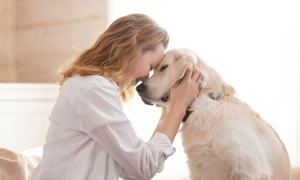 🐶 Si tens un gos a casa, buscaràs que estigui protegit 🥰 Per això és important saber si la teva assegurança de casa inclou a la teva mascota. T'expliquem tot el que has de saber aquí 👇 racc.cat/blog/llar/saps…