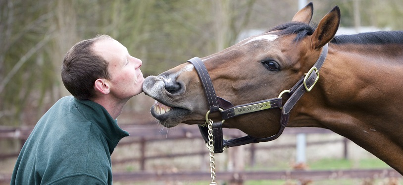 'Keep the horse at the heart of what you are doing' Nancy Sexton caught up with recent Thoroughbred Industry Employee of the Year winner David Porter-Mackrell, who also scooped the Stud Staff Award on the evening - Newsells' third winner of the award. theownerbreeder.com/columns/keep-t…