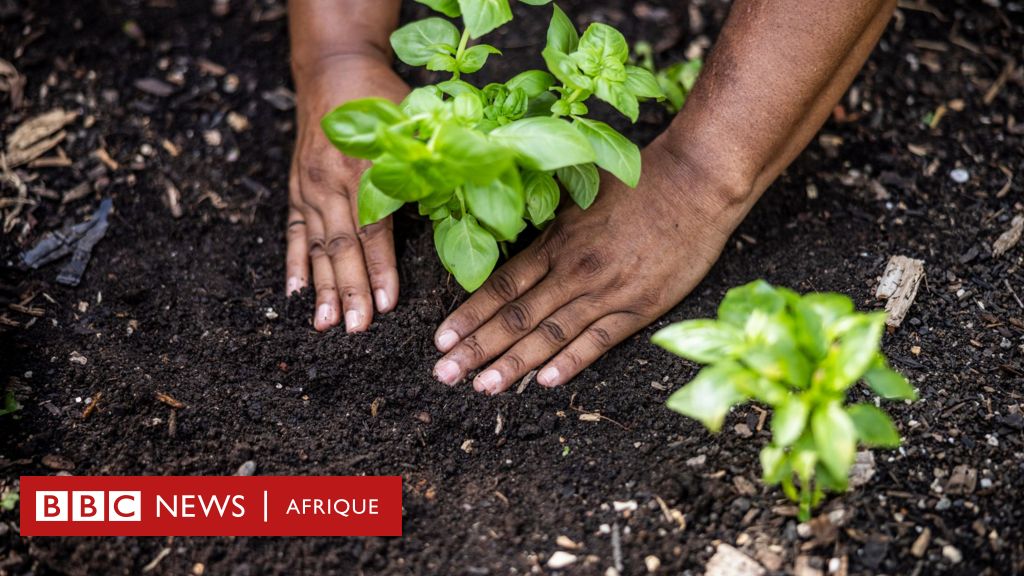 Qu'est-ce que la Journée de la Terre et quels sont ses résultats ? bbc.in/4aVBqs2