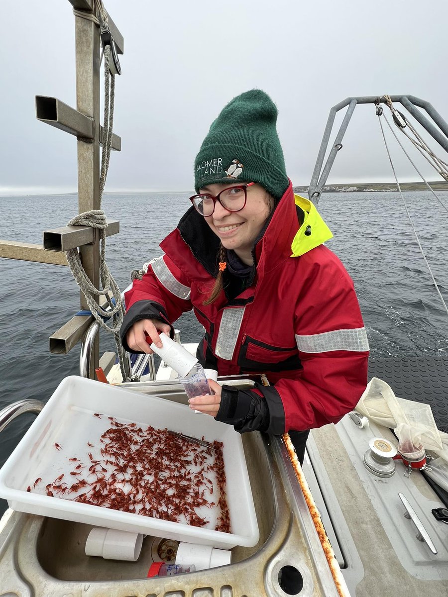 RhianTaylor's tweet photo. Last month we did the last of the zooplankton collections for my PhD (ending with the highest biomass sample - go out with a bang!) In total I have over 200 samples, collected over about 18 months, so lots of analysis to do now!! @SAERI_FI @UoABioSci @shallow_marine #DPLUS148 https://t.co/VScDOyuQHG