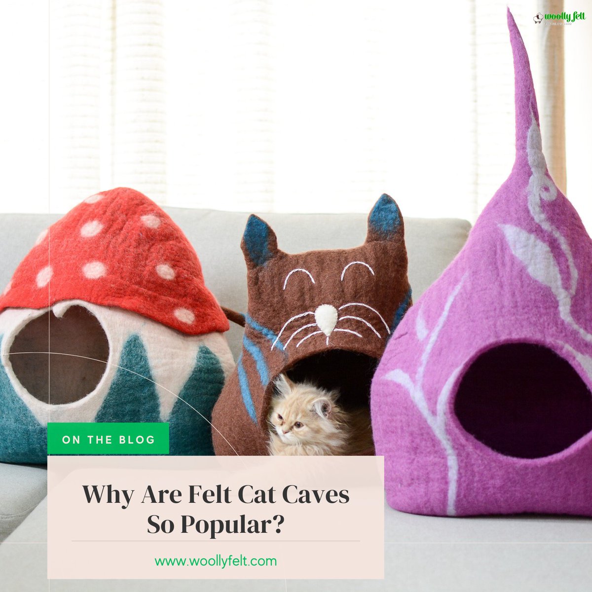 Why do cats love felt cat caves so much? Check out our new blog post to learn why these cozy spots are a hit!
Read here: bit.ly/4diLU6S
Inquiries: info@woollyfelt.com
 #feltcatcave #feltpetbed #petbed #petfurniture #cathouse #cat #catlover #catlovergift  #petlover