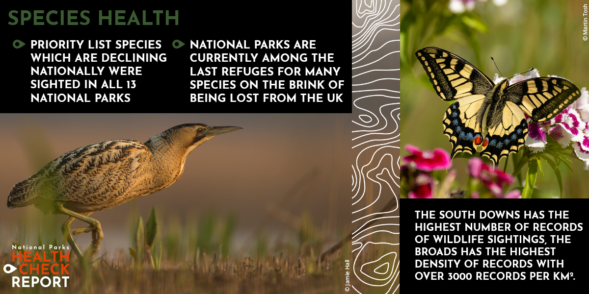 It's #EarthDay2024 and we're celebrating #NationalParks and their importance to nature in the UK 🌍 Our #HealthCheckReport shows that our Parks are among the last refuges for many species on the brink of being lost from the UK. 1 donation 2x the impact 👉bit.ly/reviveourparks