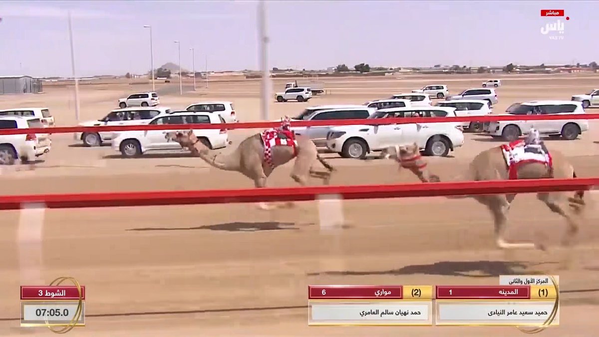 wtvision_'s tweet photo. ADM Camel Race Festival in #Dubai has been enhanced by #wTVision since 2010 🐫
We developed a graphics solution for the annual competition. We created and implemented the graphics in a unique production, entirely broadcasted in Arabic.
#CamelRacing #Sports #OutsideBroadcast https://t.co/oobvUb2dbl