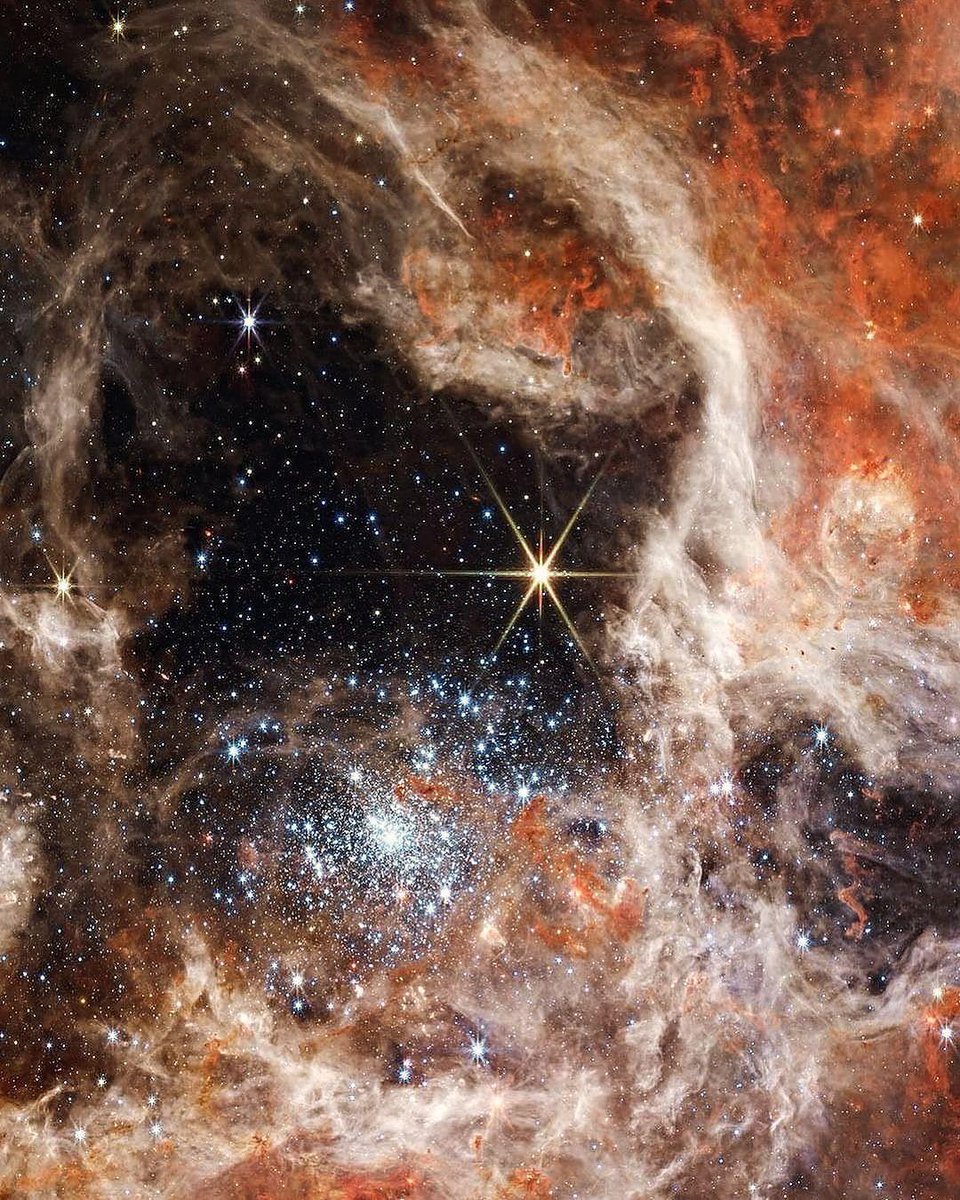 Tarantula Nebula, by NASA’s Webb ✨

Credits: NASA, ESA, CSA, STScI, JWST