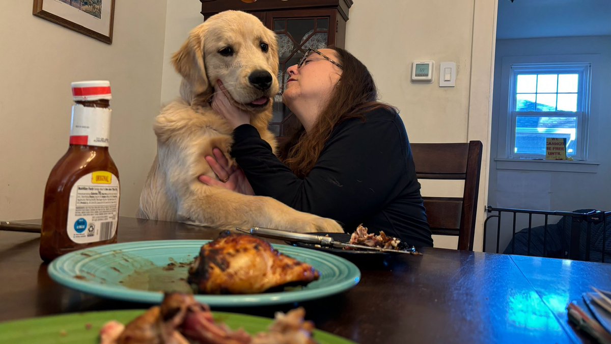 A story in eleventy hundred pictures… I am super happy @BrynaSF_edu finally came home from the airplane flying place, but then she wouldn’t share her dinner with me. #NotFair #GoodBoysDeserveDinner #IMissedHer #StillHungry #ThisIsPreposterous

#DogsOfTwitter #GoldenRetrievers