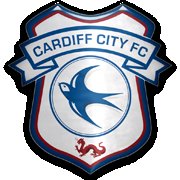 Fuck Every Football Team Bot :

Fuck Cardiff City FC

#Ligue1