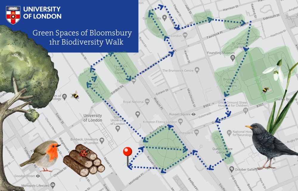 This is delightful ❤️ To mark #EarthDay2024, @UoLondon_Sus have put together a cute map of the green spaces of #Bloomsbury. Perfect for a spring stroll! 🌎 Which of the local squares is your favourite?