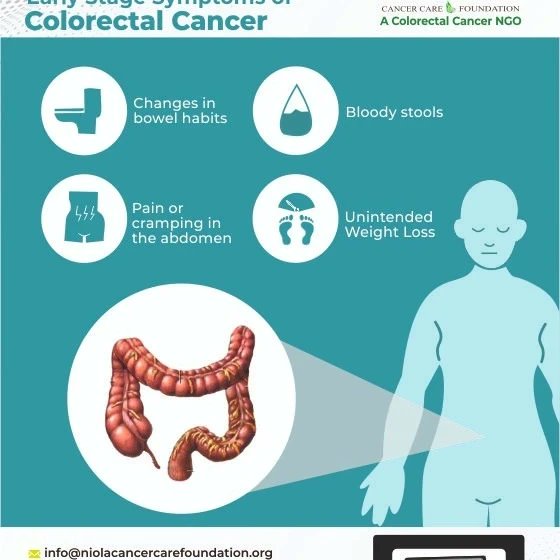 Niola Foundation tweet media