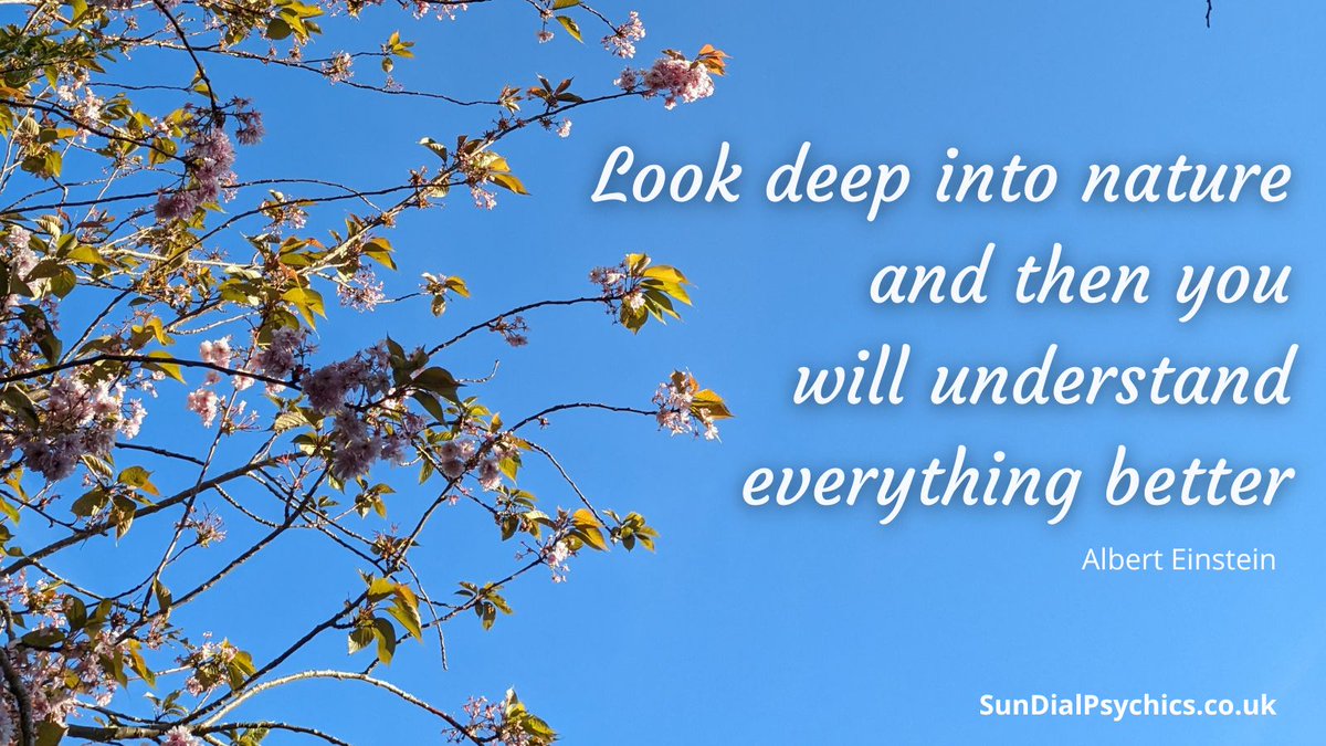 SunDialPsychics's tweet image. 🤩Happy vibes this #EarthDay 🌍! Think positive, light your life and path! Our fabulous readers are on hand to answer any question 👉#SundialPsychics

#blossom #spring #AlbertEinstein #psychics #mediums #spiritual #blessing #loveandlight #innerwisdom #happiness #healing