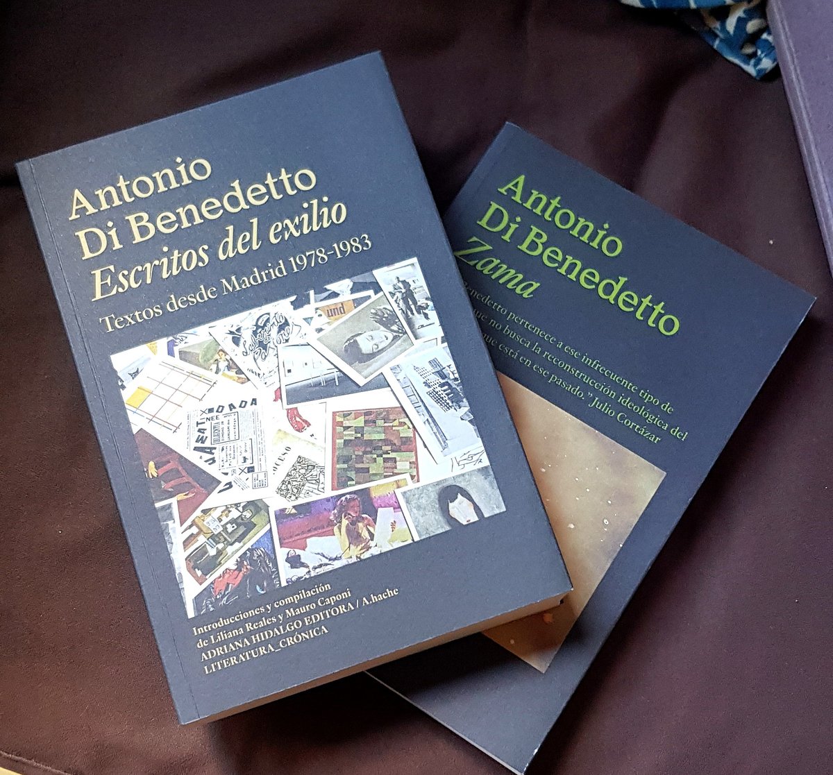Dos obras de Antonio Di Benedetto (una de ellas, la 'Zama' que filmó Lucrecia Martel), en @AdrianaHidalgoE