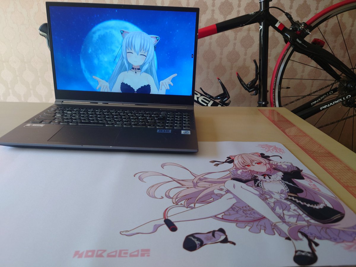 オーダーメイドPCを扱っているNOSことNextOneStep(@Next_OneStep)さんの「のらきゃっとコラボPCフォロー＆リポストキャンペーン」B賞のらきゃっとデスクトップマットが当選し届きました！綺麗！可愛い！有難うございます！ 今組んでるPCは途中なのでノートで失礼します！これは使って汚れるの無理です