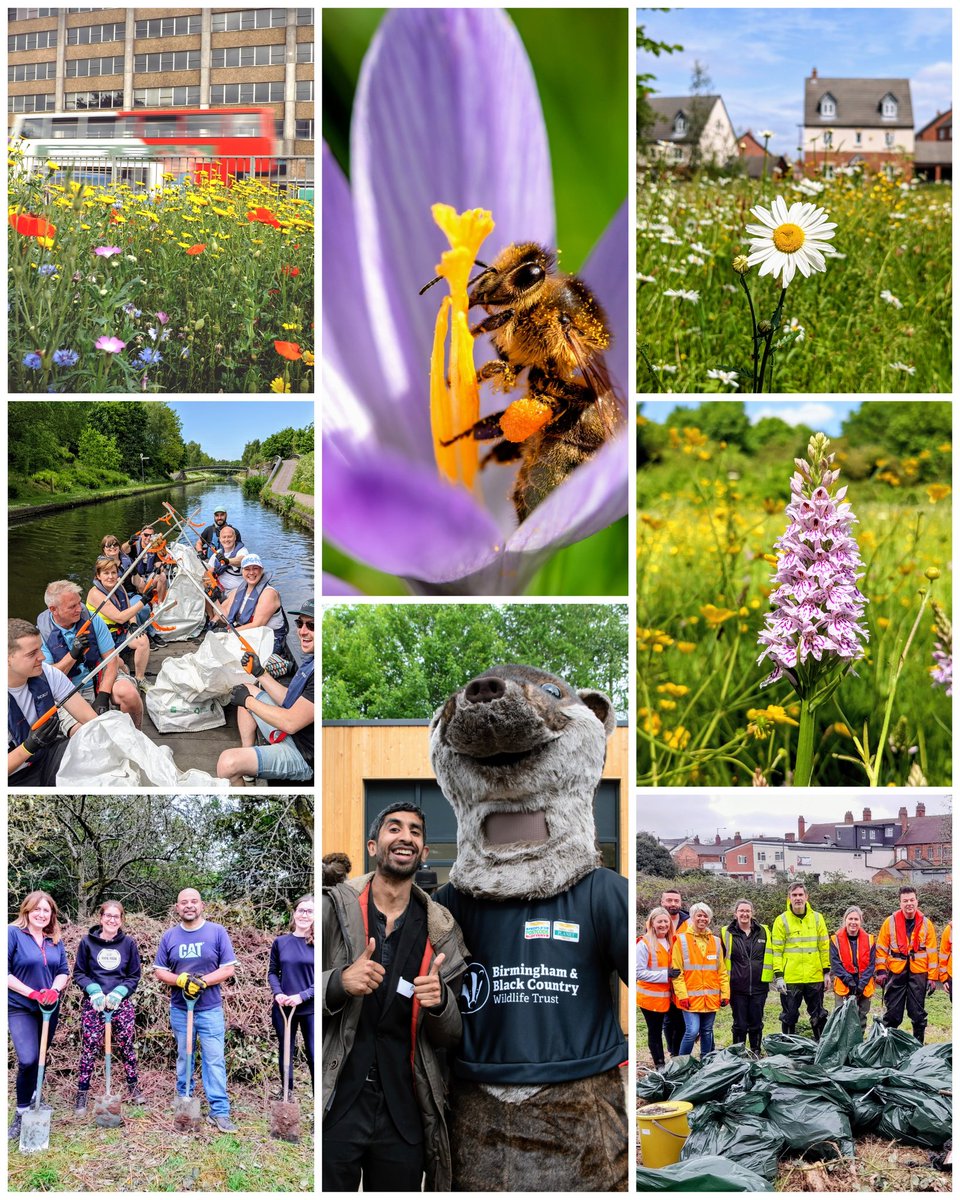 🌍Happy #EarthDay! Our members have allowed us to work for wildlife and wild places, whilst connecting people to the wild world around them for more than 40 years. If you'd like to join us and them, find out more about becoming a member here: bbcwildlife.org.uk/JoinUs